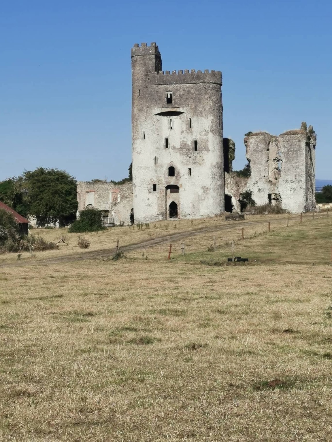Ballyadams Castle photograph 1