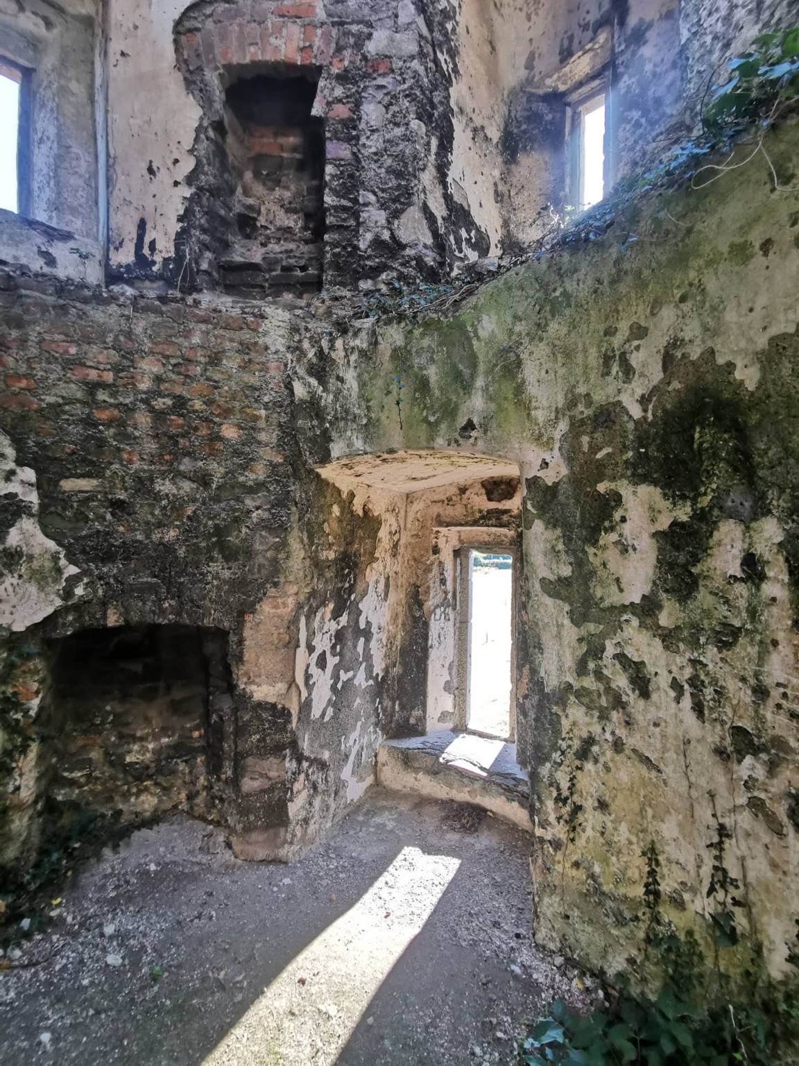 Ballyadams Castle photograph 2