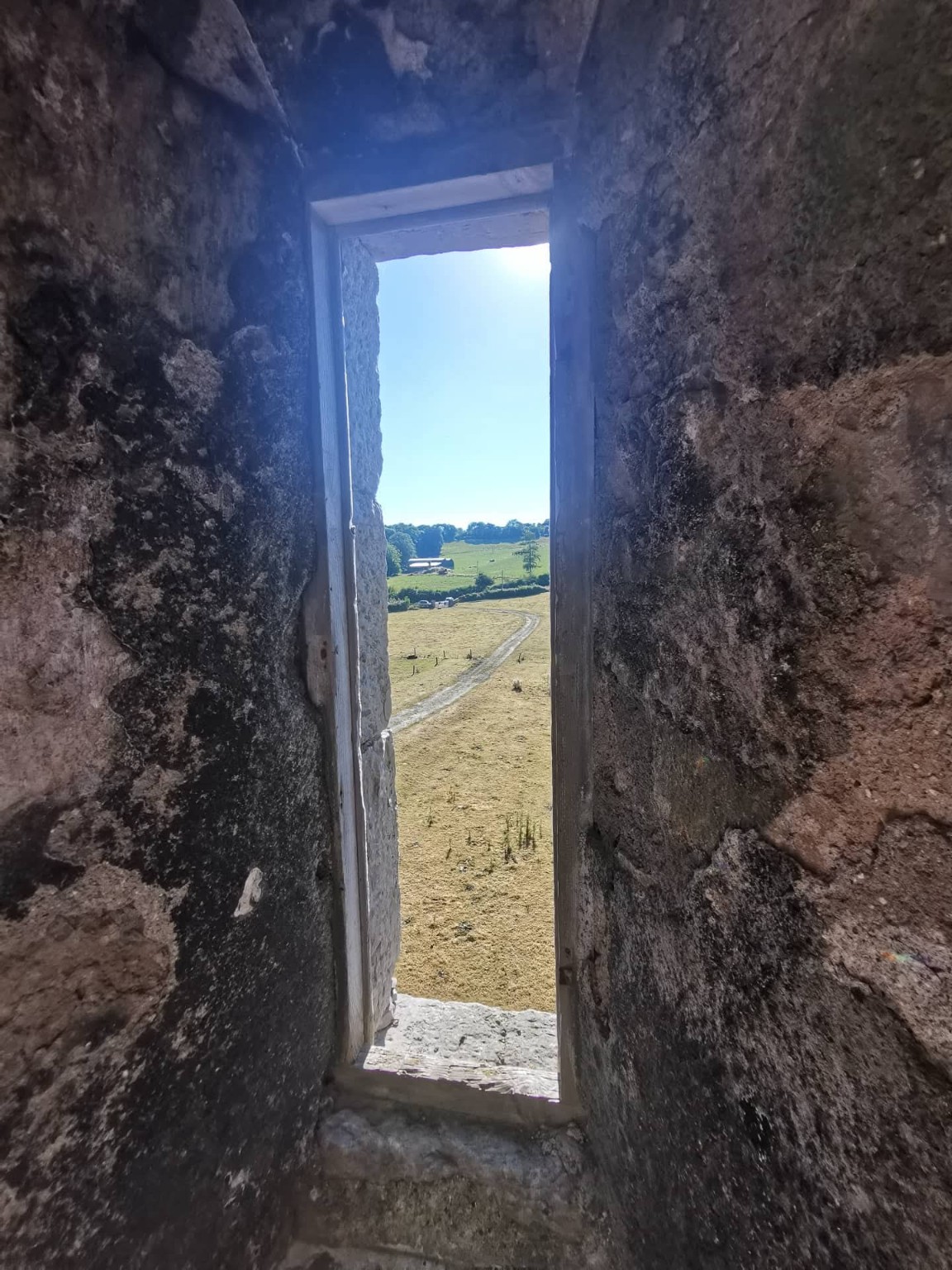 Ballyadams Castle photograph 4
