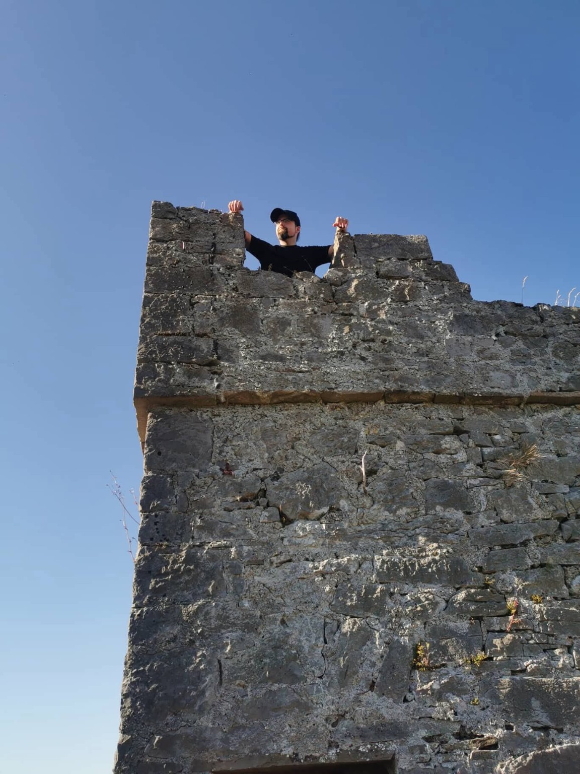 Ballyadams Castle photograph 6