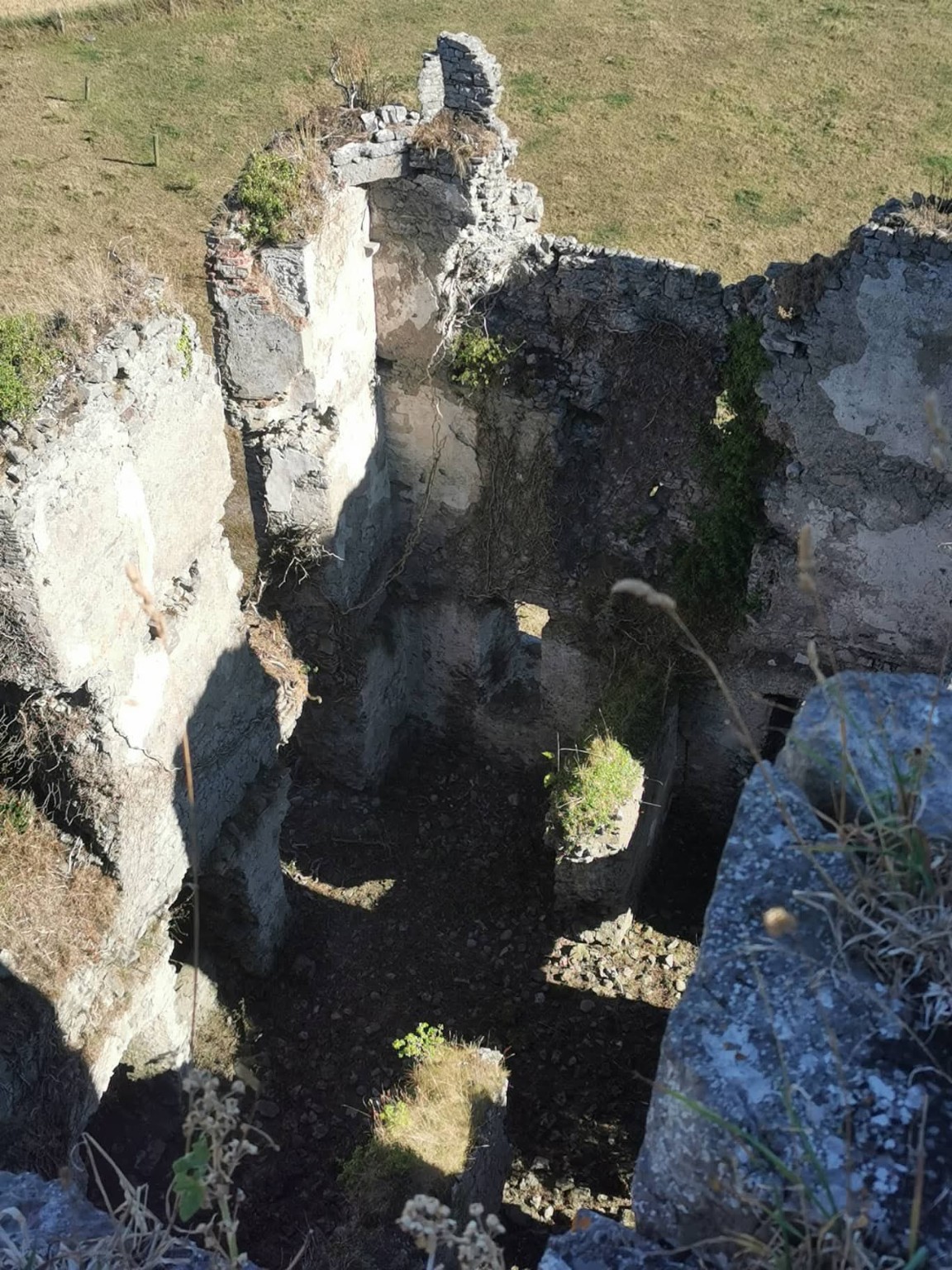 Ballyadams Castle photograph 9