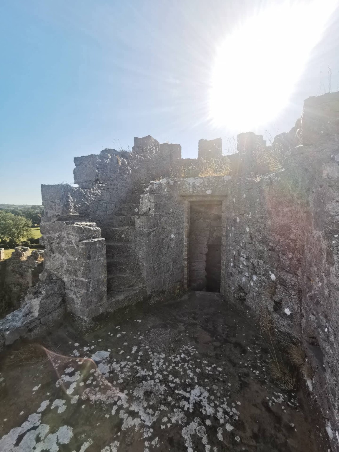 Ballyadams Castle photograph 10