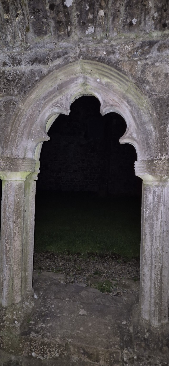 Bective Abbey photograph 3