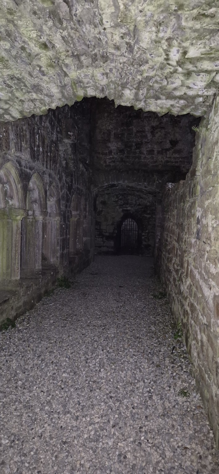 Bective Abbey photograph 4