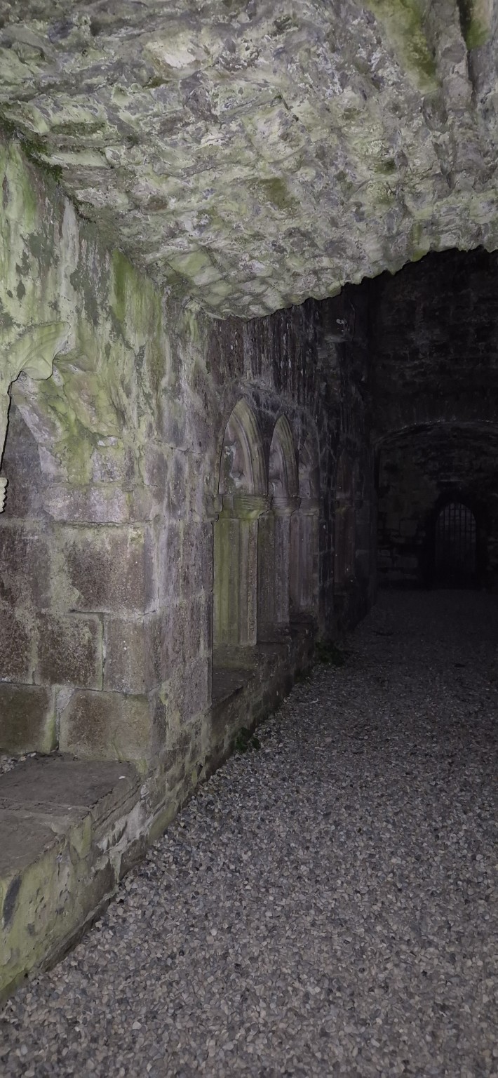 Bective Abbey photograph 5