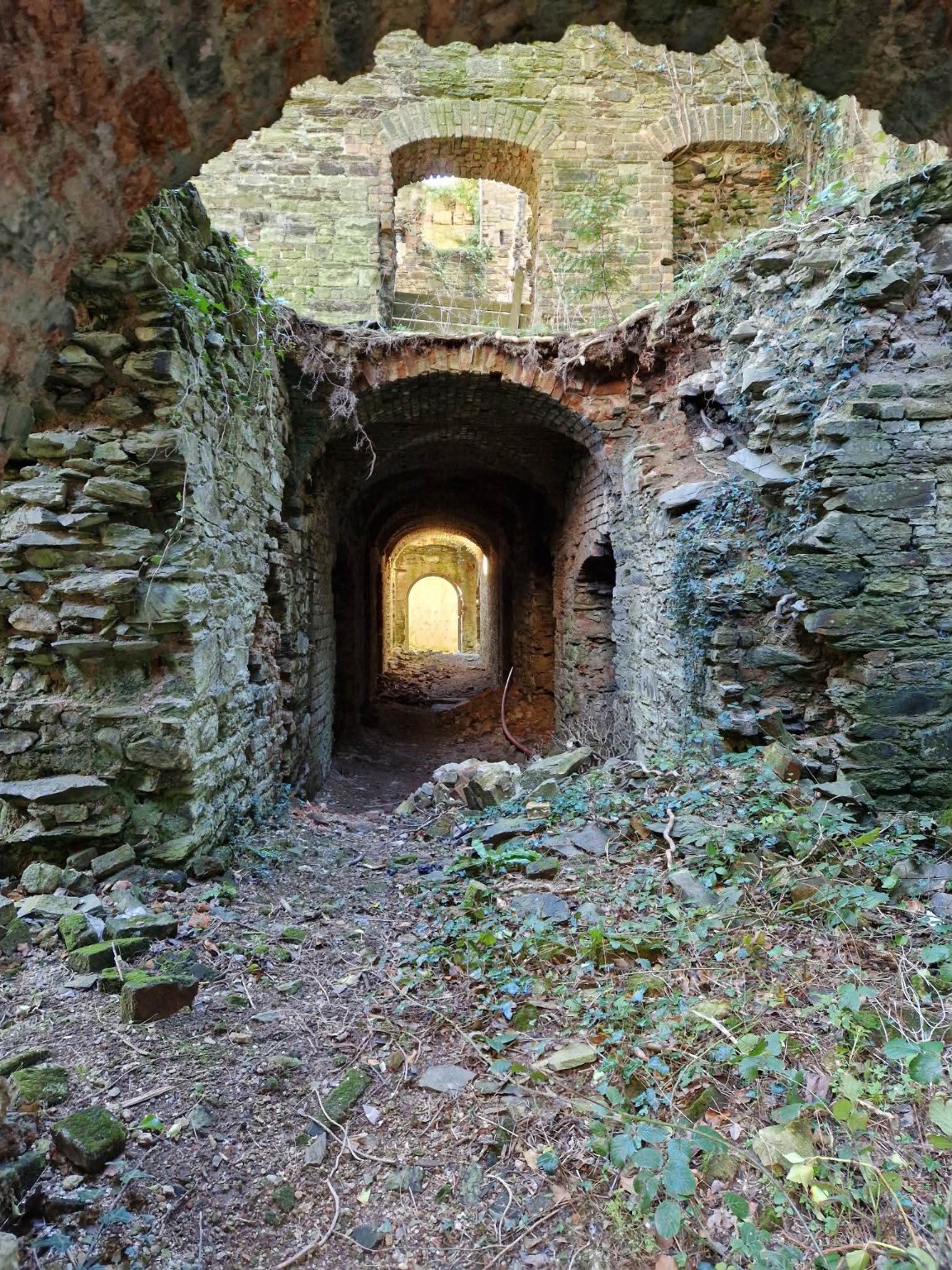 Castleboro House photograph 5