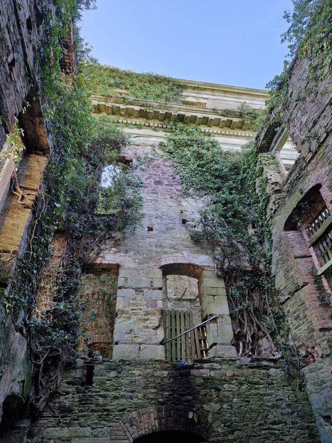 Castleboro House photograph 6