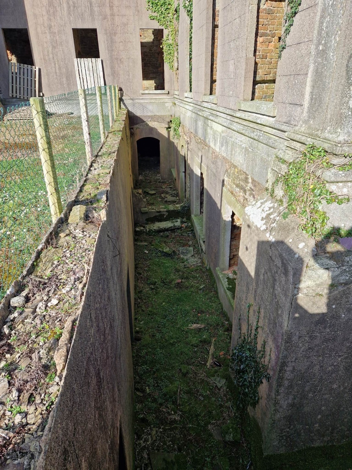 Castleboro House photograph 9