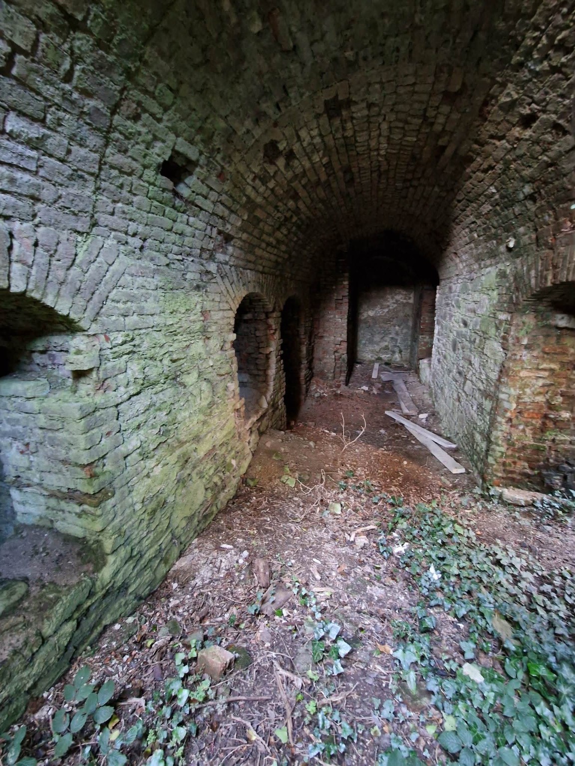 Castleboro House photograph 10