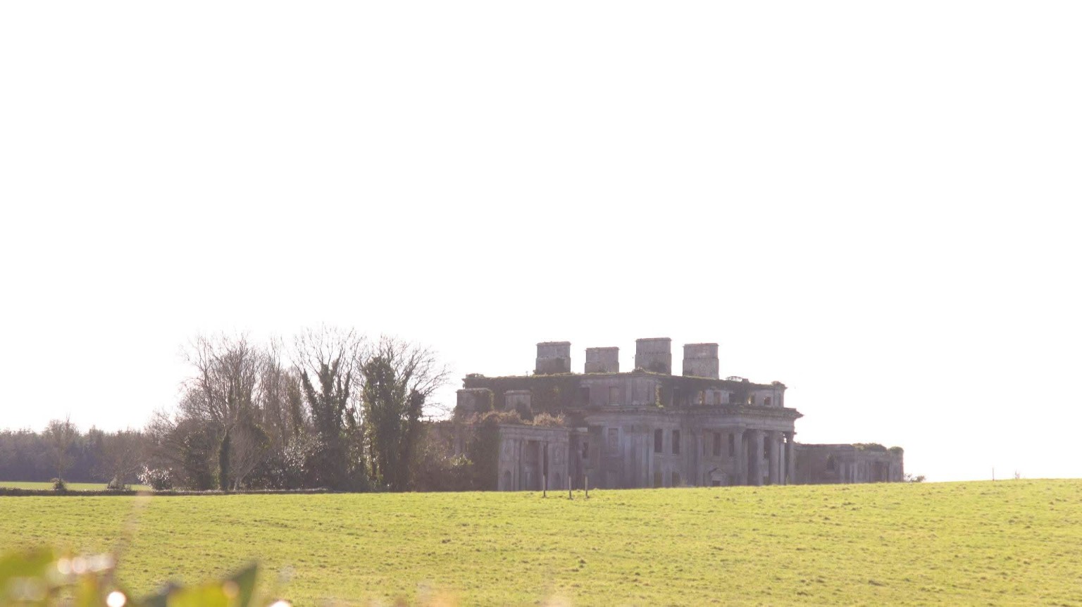 Castleboro House photograph 12