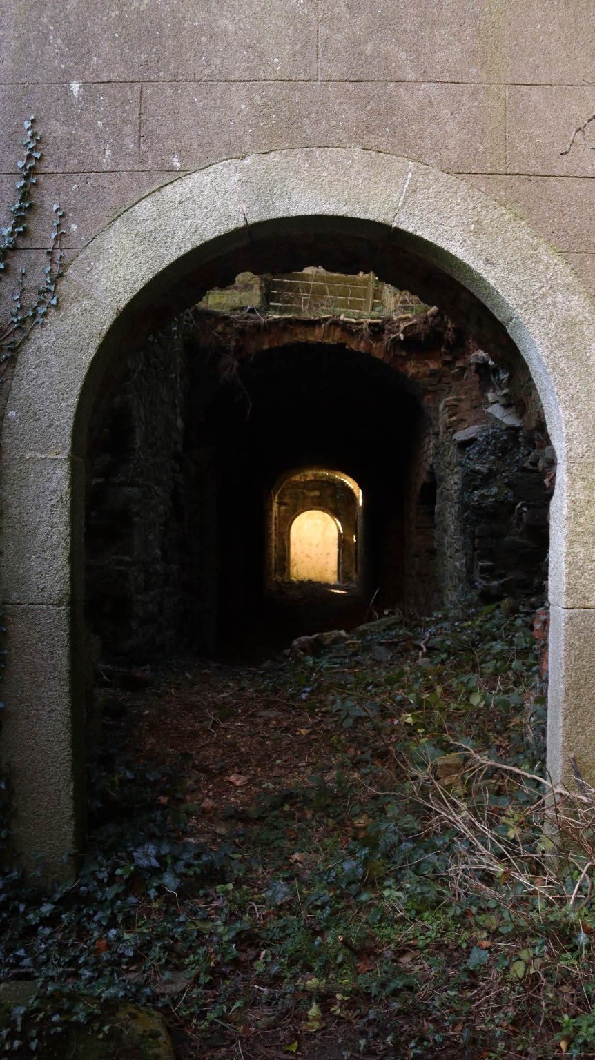 Castleboro House photograph 15