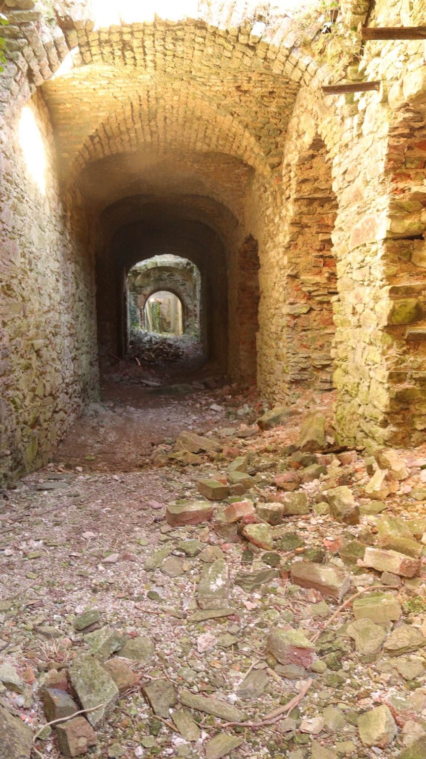 Castleboro House photograph 16