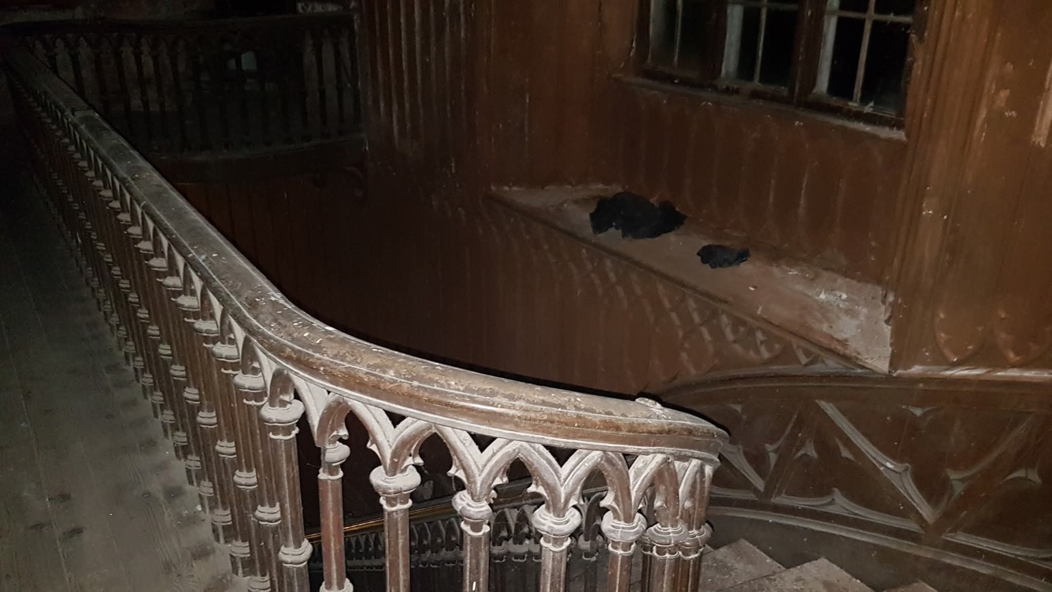 Charleville Castle photograph 5