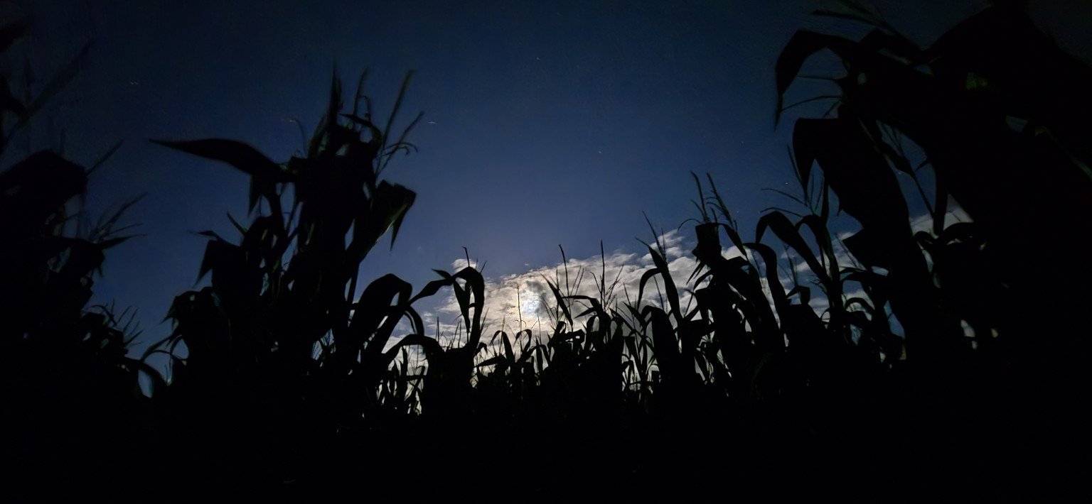 Farmaphobia 2026 photograph 3