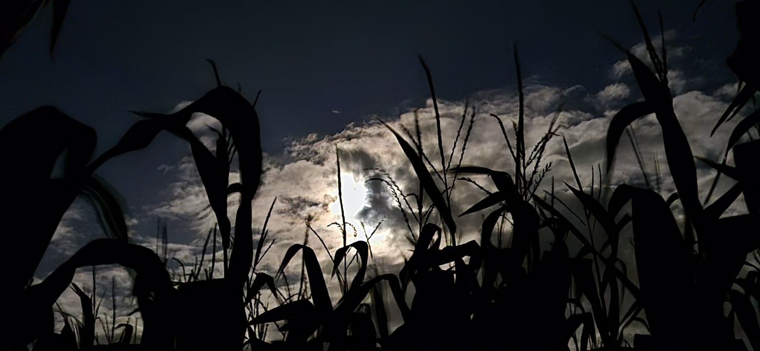 Farmaphobia 2026 photograph 4