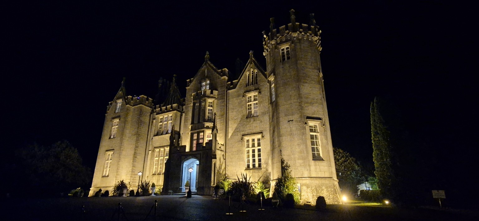 Kinnitty Castle photograph 9