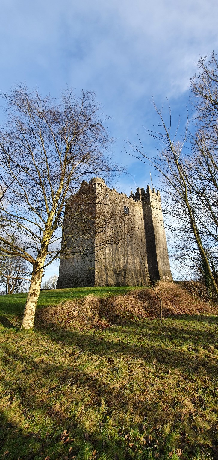 Redwood Castle photograph 5